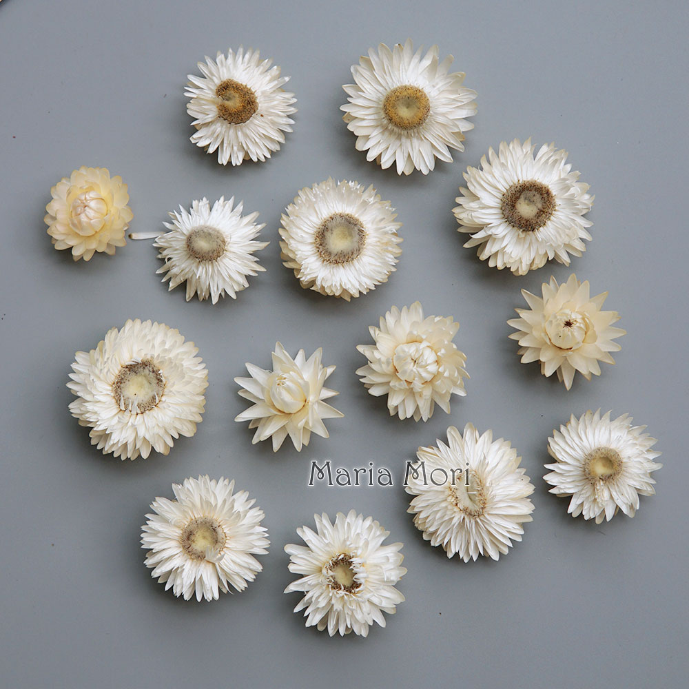 Baby Products For Bathing - Couronne de chrysanthème colorée séchée naturelle,