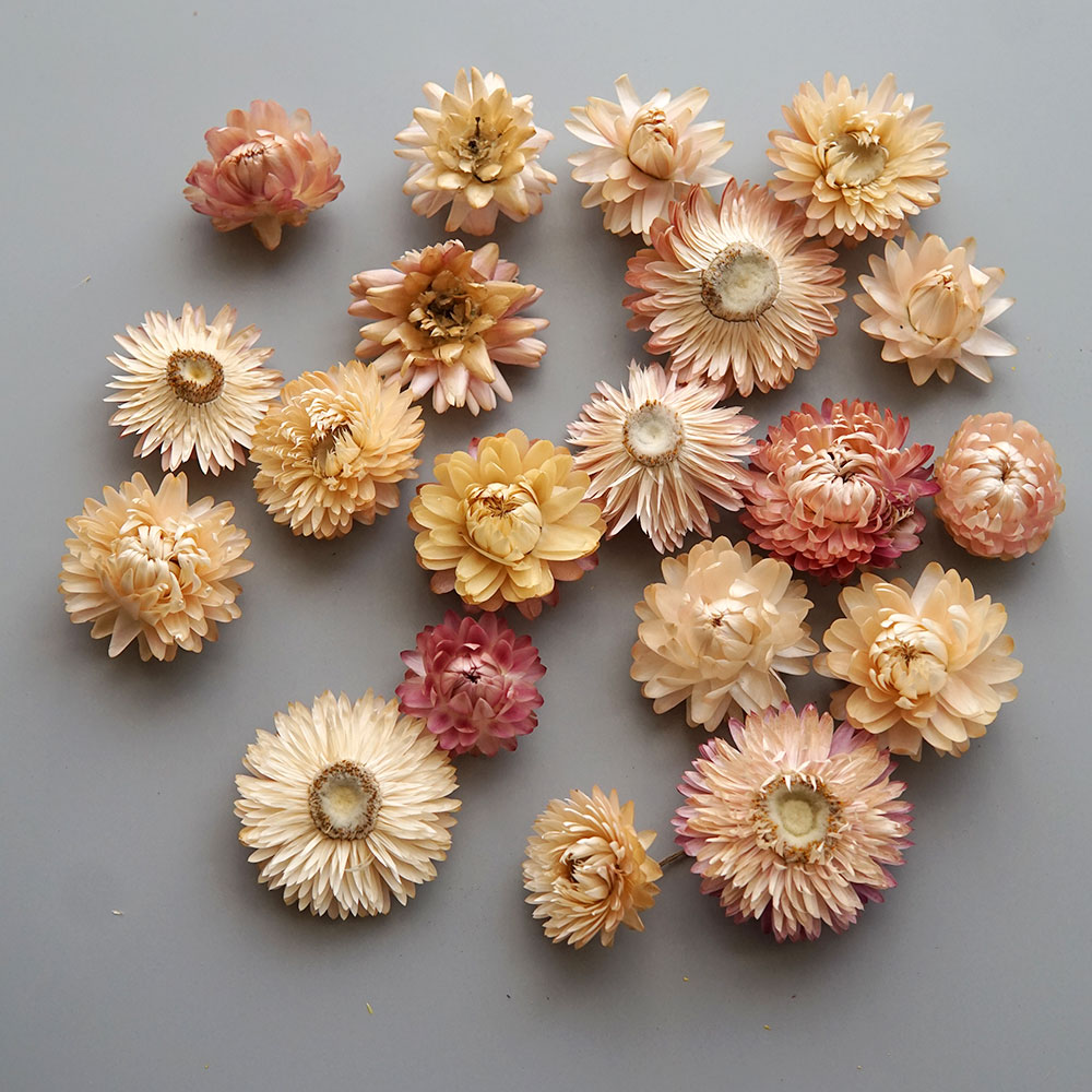 Couronne de chrysanthème color - Baby Products For Bathing avis et prix